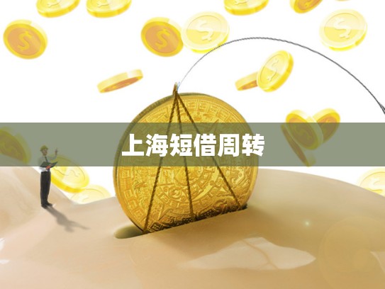 上海短借周转