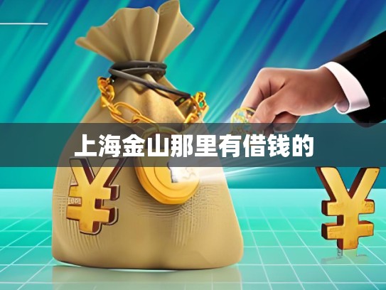 上海金山那里有借钱的