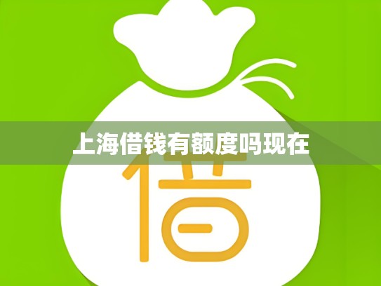 上海借钱有额度吗现在