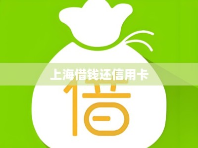上海借钱还信用卡