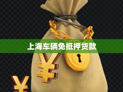 上海车辆免抵押贷款