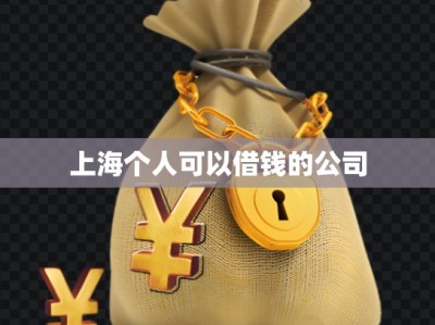 上海个人可以借钱的公司