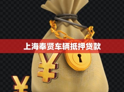 上海奉贤车辆抵押贷款